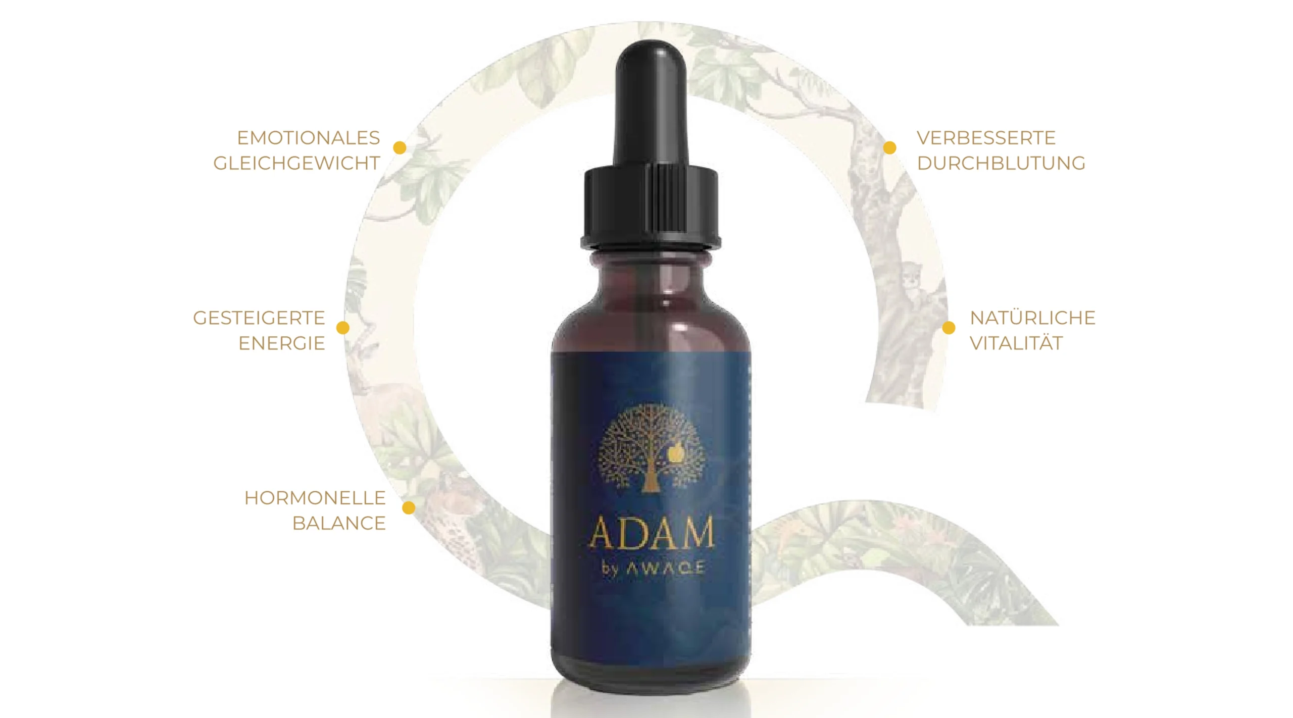 EDEN - ADAM by AWAQE